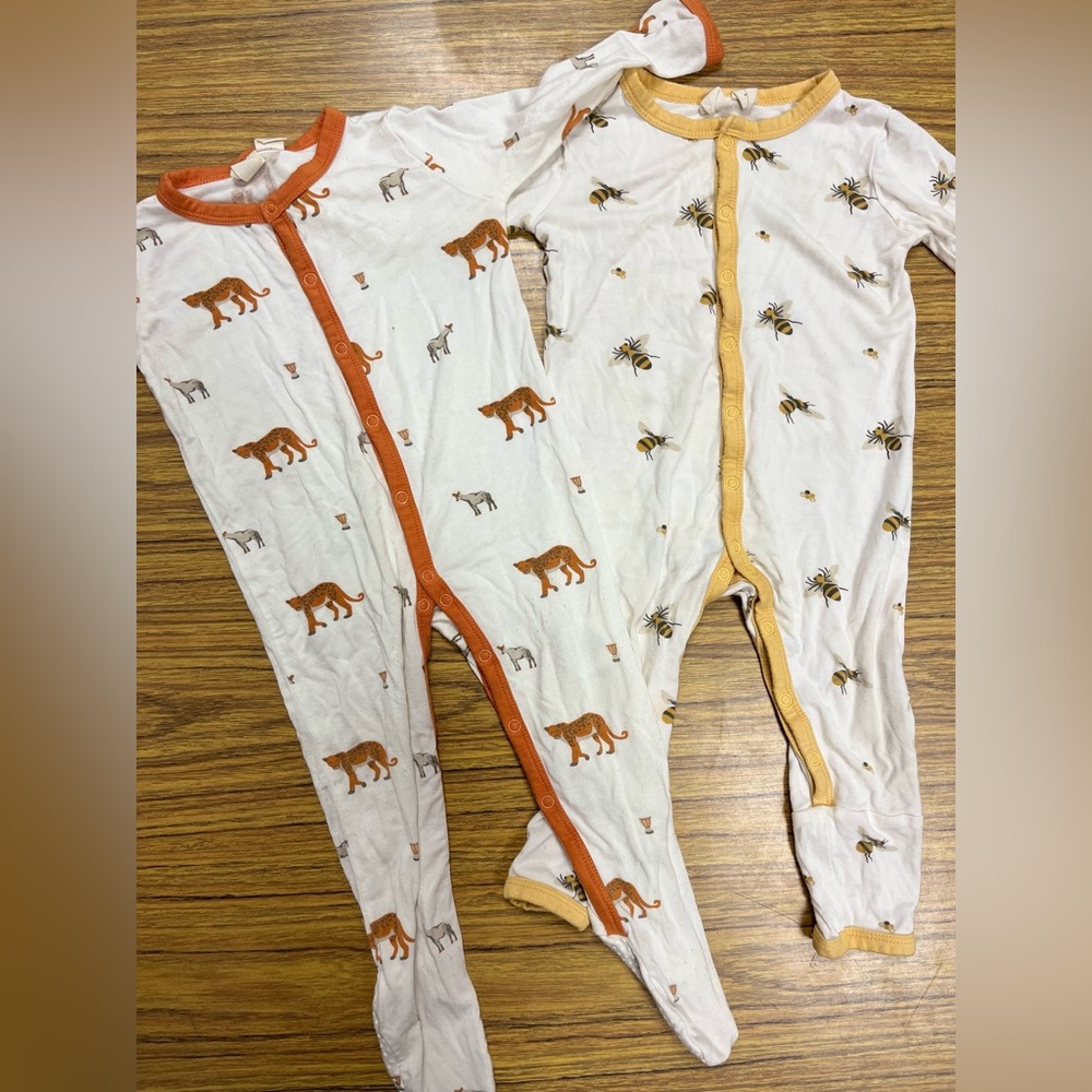 Kyte African/Buzz Bundle